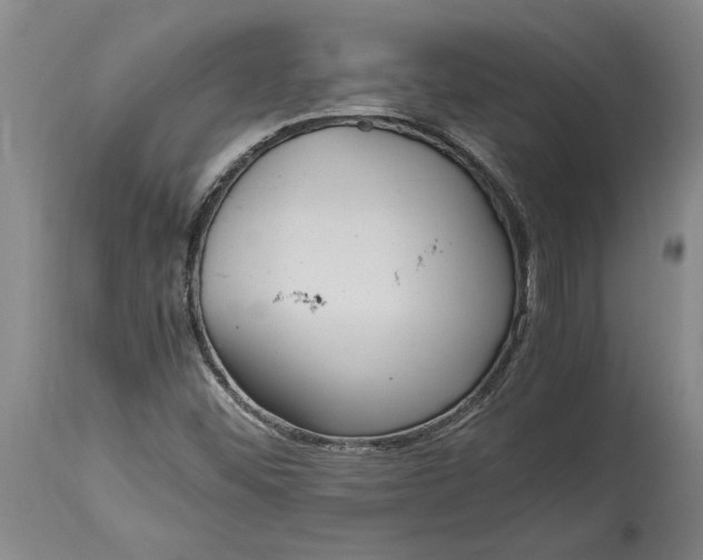 X0000115121452200911171317