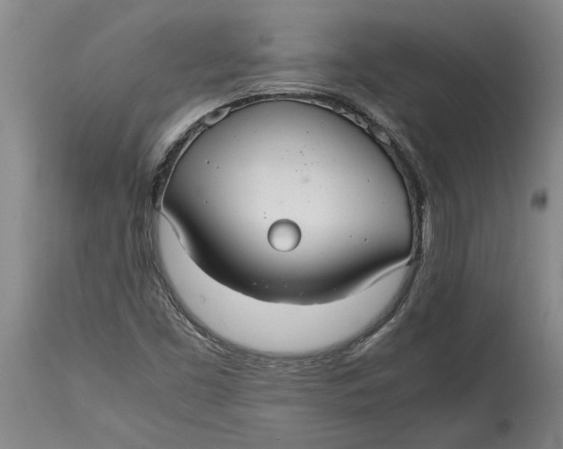 X0000115121453200911171317