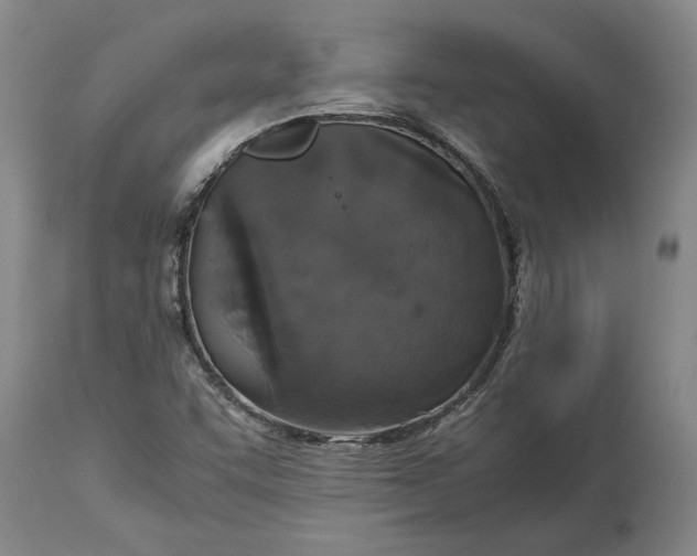 X0000115121455200911171317