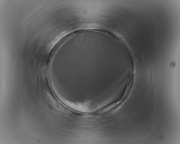X0000115121457200911171317