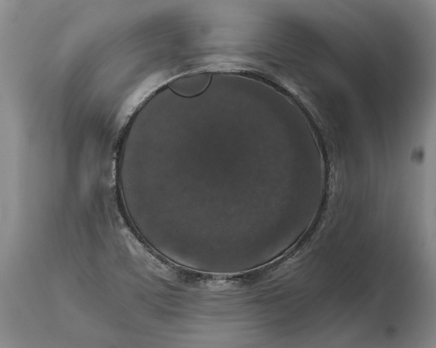 X0000115121459200911171317