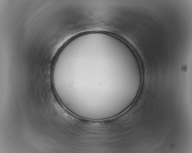 X0000115121460200911171317