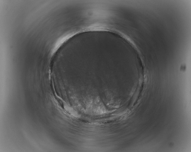 X0000115121461200911171317