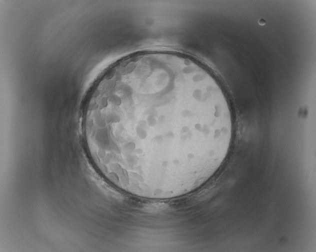 X0000115121462200911171317