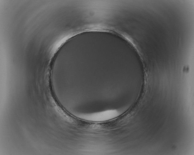 X0000115121463200911171317