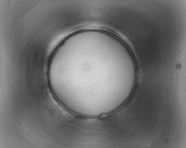 X0000115121464200911171317