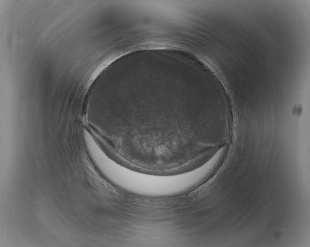 X0000115121465200911171317