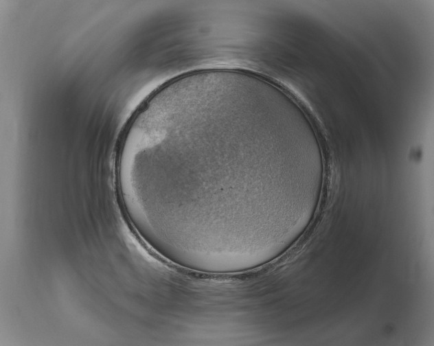 X0000115121468200911171317