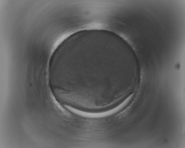 X0000115121469200911171317