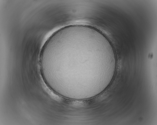 X0000115121470200911171317