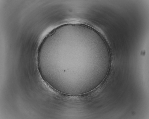 X0000115121472200911171317