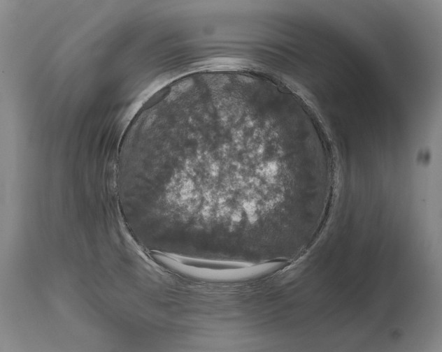 X0000115121473200911171317