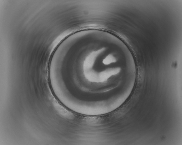 X0000115121474200911171317