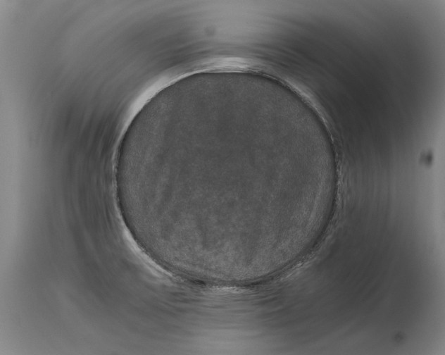 X0000115121475200911171317