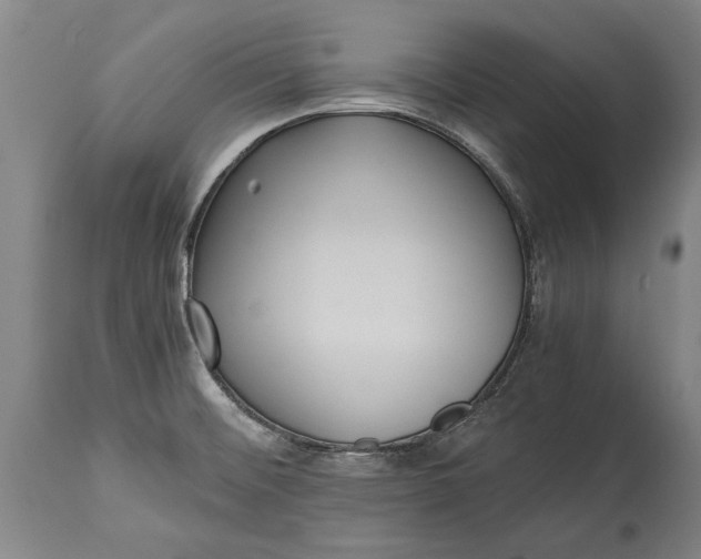 X0000115121476200911171317