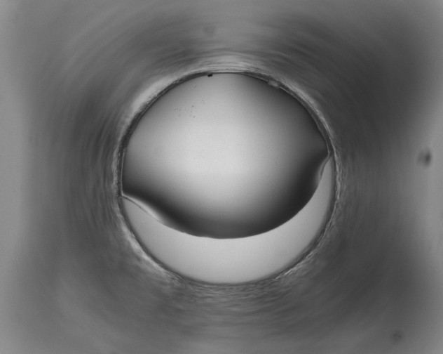 X0000115121477200911171316
