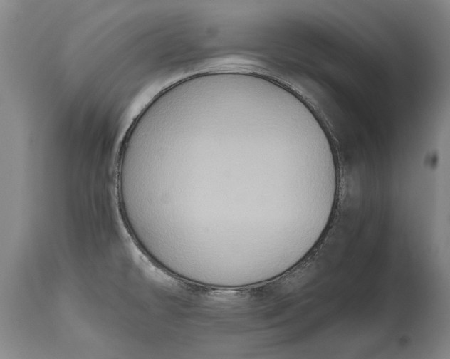 X0000115121478200911171316