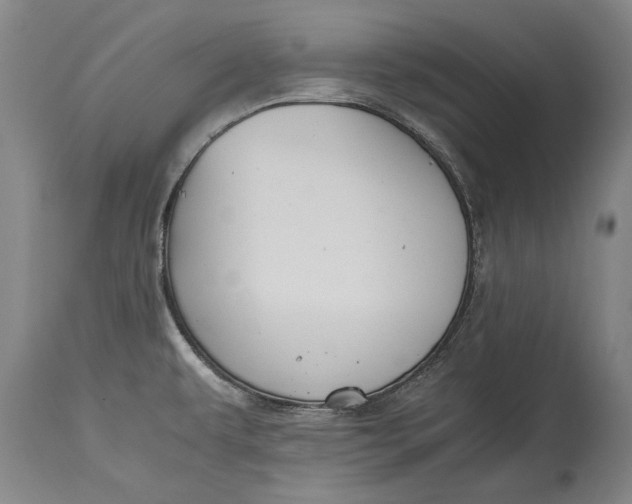 X0000115121479200911171316