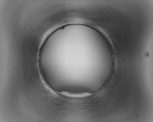 X0000115121480200911171316