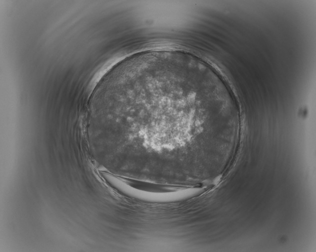 X0000115121481200911171316