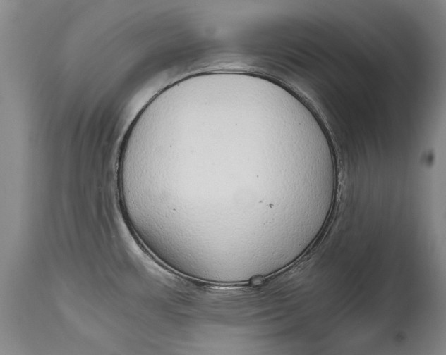 X0000115121483200911171316
