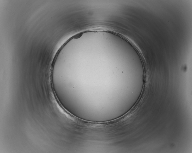 X0000115121484200911171316