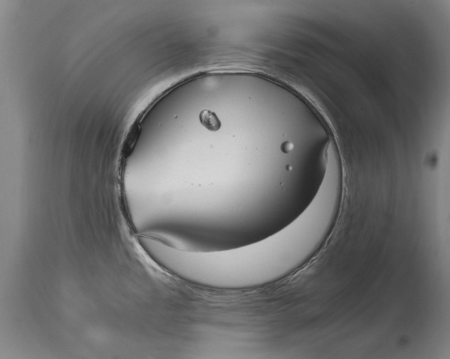 X0000115121485200911171316