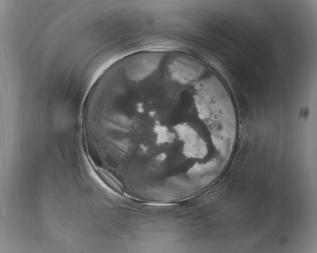 X0000115121487200911171316