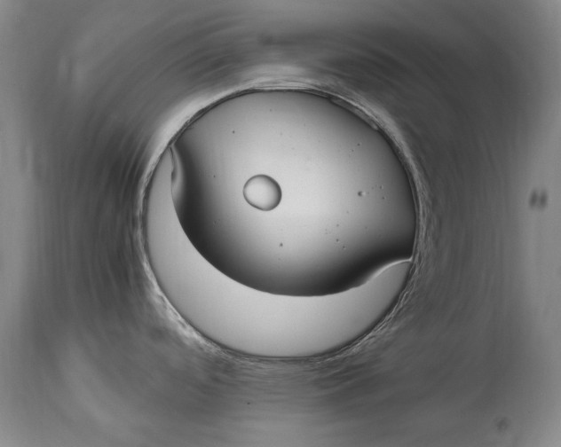 X0000115121488200911171316
