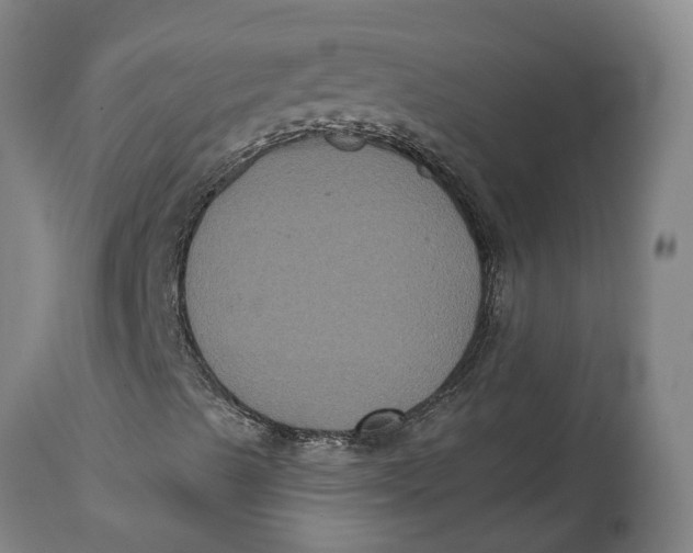X0000115121489200911171316
