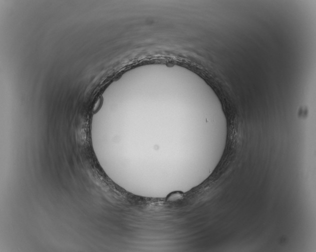 X0000115121490200911171316