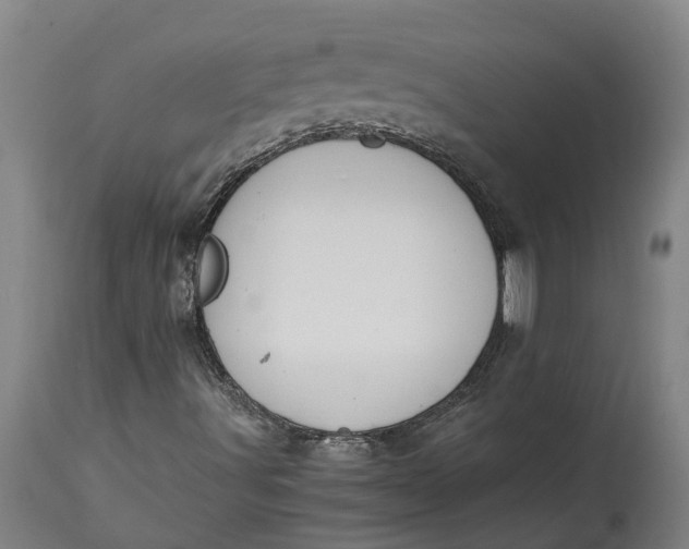 X0000115121491200911171316