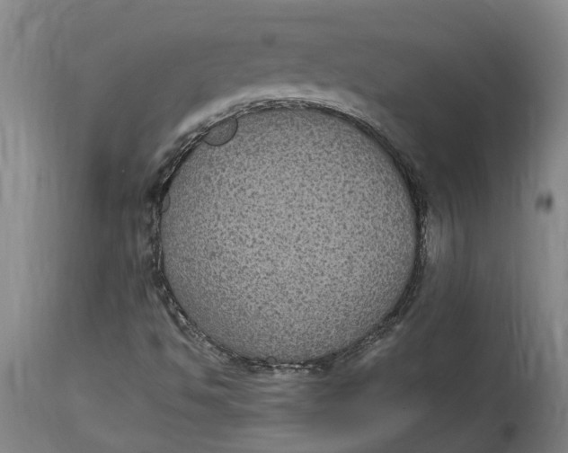 X0000115121494200911171316