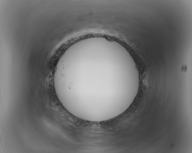 X0000115121495200911171316