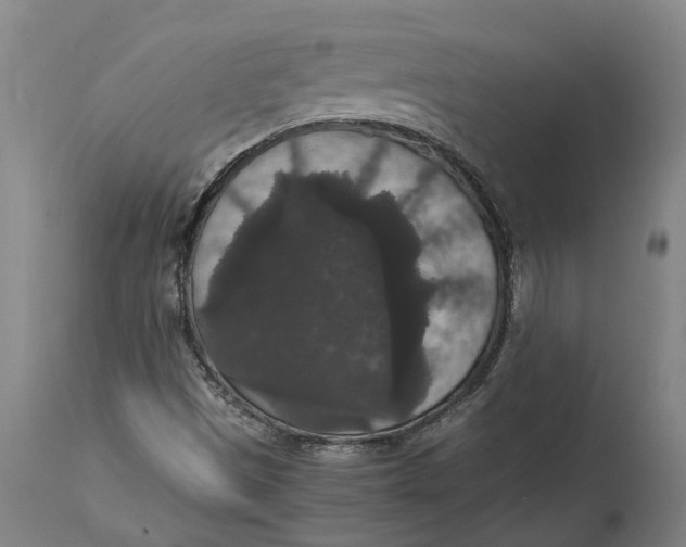 X0000115121497200911171316