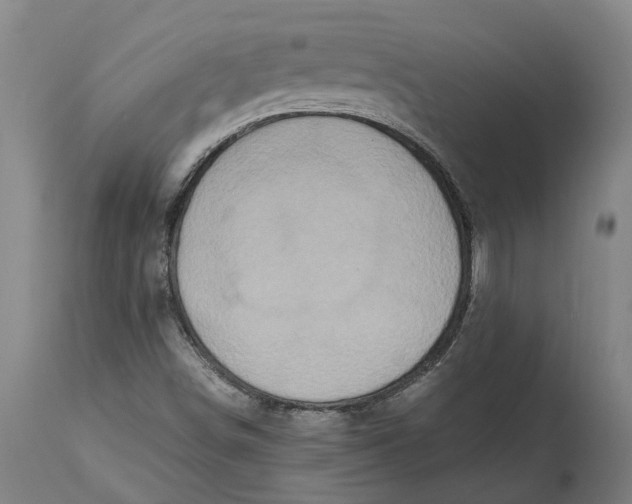 X0000115121498200911171316