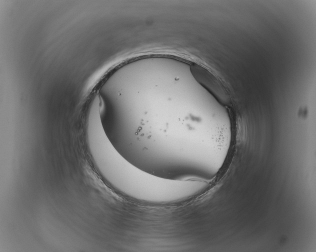 X0000115121502200911171316