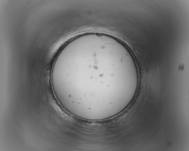 X0000115121503200911171316