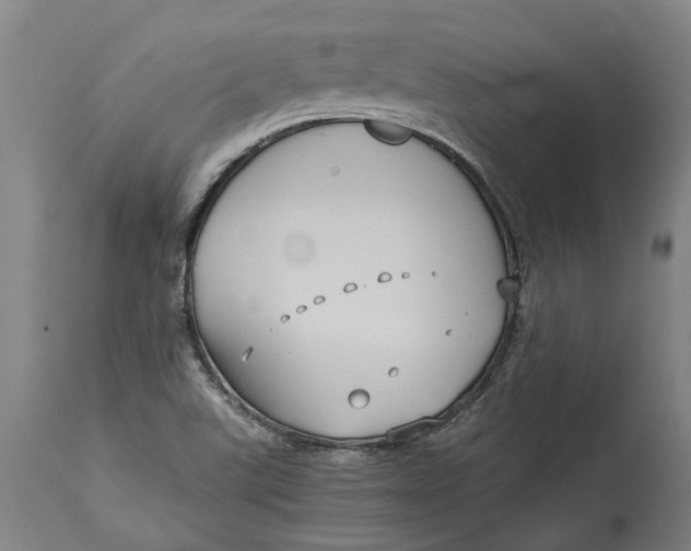 X0000115121507200911171316