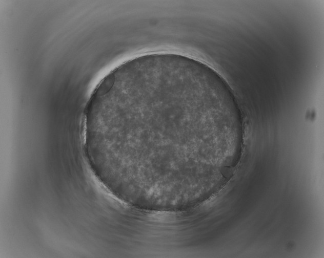 X0000115121510200911171316