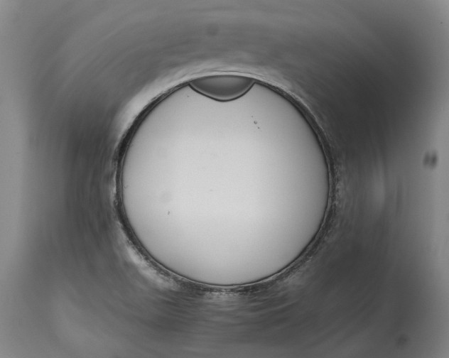 X0000115121511200911171316