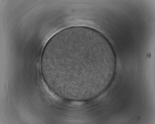 X0000115121513200911171316