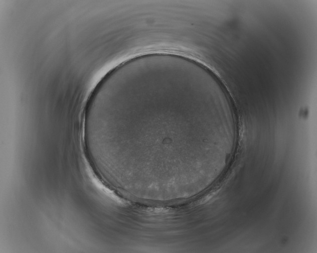 X0000115121515200911171316