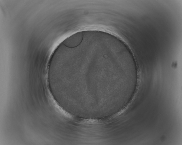 X0000115121517200911171316
