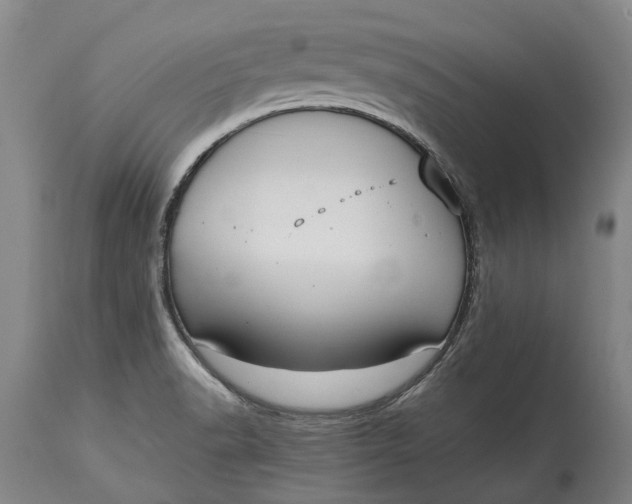 X0000115121518200911171316