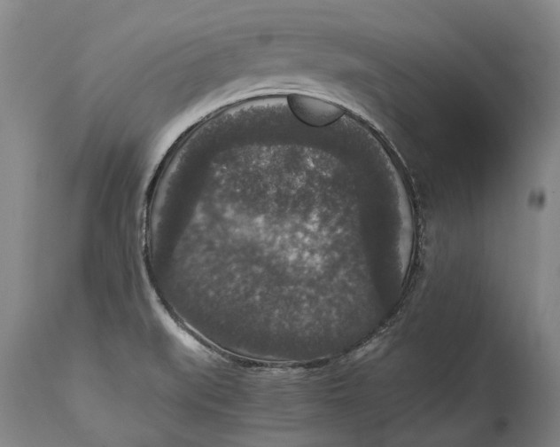 X0000115121519200911171316