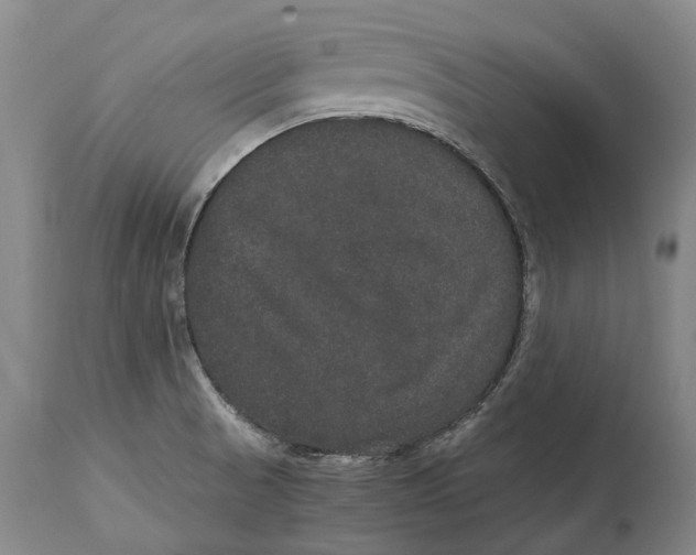 X0000115121521200911171316