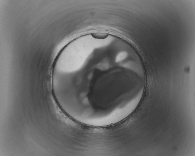 X0000115121522200911171316