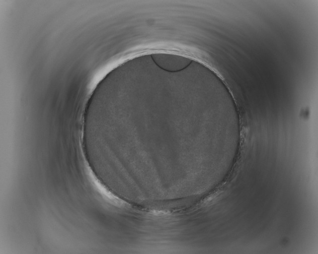 X0000115121523200911171316