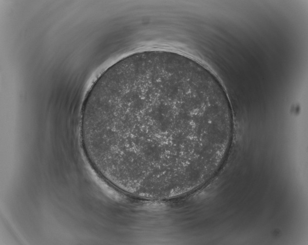 X0000115121525200911171316